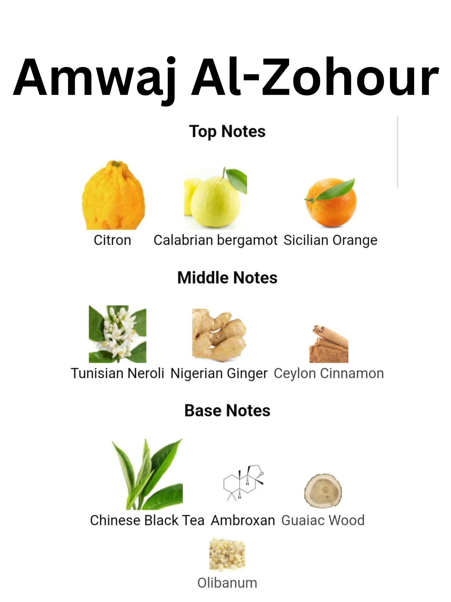 Amwaj Al Anbar By Zakat Pure Concentrated Oil 20ml For Men
